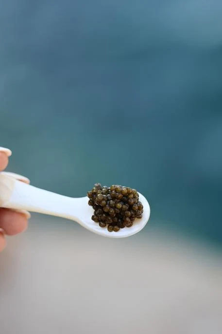 Una cucharada de caviar junto al mar